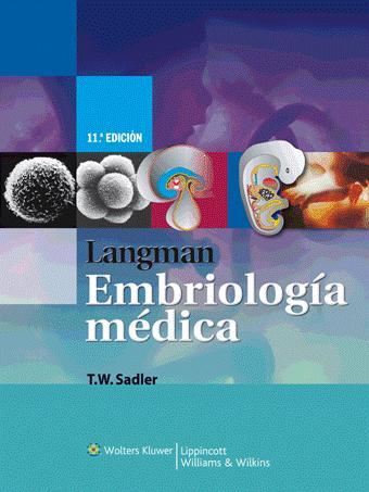 Embriologia clinica moore pdf